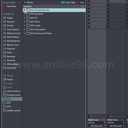 Essential House - FULL SAMPLE PACK  (Descarga Directa)